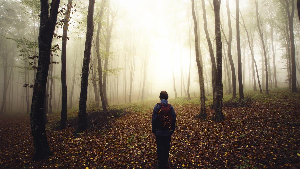 Vermisste Person im Wald suchen